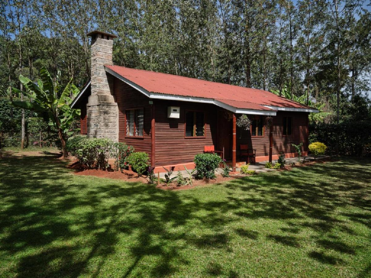 فندق The Drexel House Kenya نيروبي المظهر الخارجي الصورة